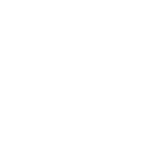 Level IIIA, Category Feature: BALLISTIC PLATES