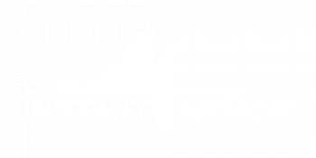 logo_InstantArmorai_white